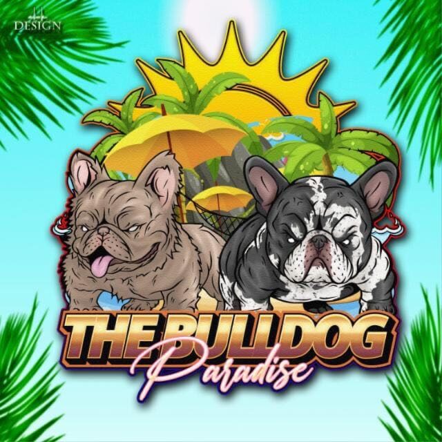 bulldog_paradise_logo